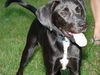 Trigger - ADOPTED 09.16.12