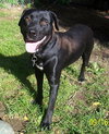 Mylow-ADOPTED 10.28.12