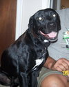 Mylow-ADOPTED 10.28.12