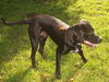 Mylow-ADOPTED 10.28.12