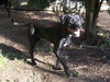 Mylow-ADOPTED 10.28.12