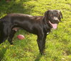 Mylow-ADOPTED 10.28.12