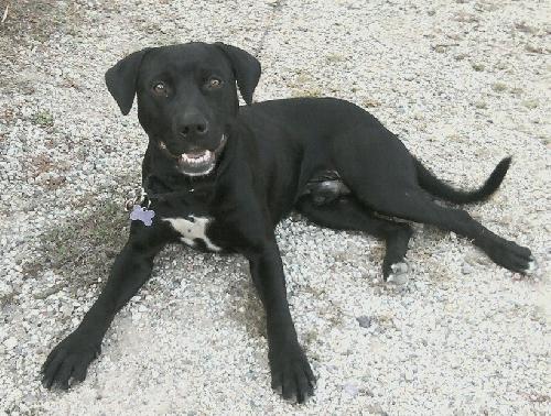 Mylow-ADOPTED 10.28.12