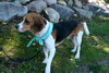 Hoover - ADOPTED 09.28.12