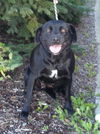 Whitney-ADOPTED 10.13.12