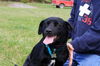 Whitney-ADOPTED 10.13.12