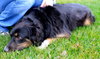Flynn-ADOPTED 01.16.13