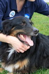Flynn-ADOPTED 01.16.13