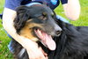 Flynn-ADOPTED 01.16.13