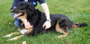 Flynn-ADOPTED 01.16.13