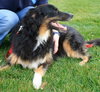 Flynn-ADOPTED 01.16.13