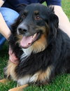 Flynn-ADOPTED 01.16.13