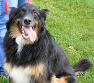 Flynn-ADOPTED 01.16.13
