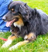 Flynn-ADOPTED 01.16.13