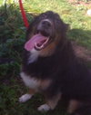 Flynn-ADOPTED 01.16.13