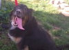 Flynn-ADOPTED 01.16.13