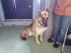 Blue - ADOPTED 09.26.12