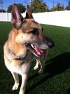 Blue - ADOPTED 09.26.12