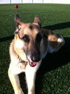 Blue - ADOPTED 09.26.12