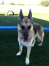 Blue - ADOPTED 09.26.12