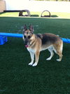 Blue - ADOPTED 09.26.12
