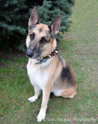 Blue - ADOPTED 09.26.12