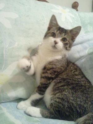 Duggan - ADOPTED 10.20.12