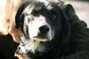 Tubby - ADOPTED  12.01.12