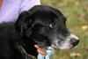 Tubby - ADOPTED  12.01.12