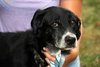 Tubby - ADOPTED  12.01.12