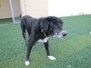 Tubby - ADOPTED  12.01.12