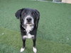 Tubby - ADOPTED  12.01.12