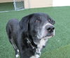 Tubby - ADOPTED  12.01.12