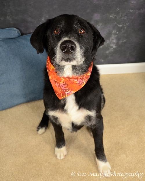 Tubby - ADOPTED  12.01.12
