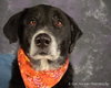 Tubby - ADOPTED  12.01.12