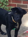 Andy-ADOPTED 10.19.12
