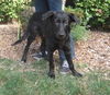 Guiness-ADOPTED 10.07.12