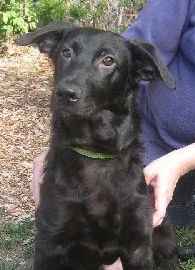 Guiness-ADOPTED 10.07.12