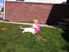 Apple - ADOPTED 09.29.12