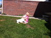 Apple - ADOPTED 09.29.12