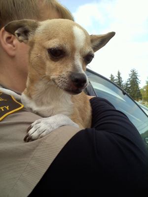 Feather-ADOPTED 10.03.12