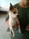 Felipe-ADOPTED 11.11.12