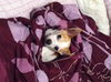 Felipe-ADOPTED 11.11.12