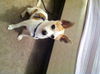 Felipe-ADOPTED 11.11.12
