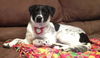Mercedes - ADOPTED 09.26.15