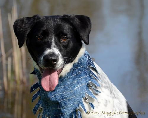 Mercedes - ADOPTED 09.26.15