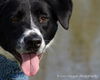 Mercedes - ADOPTED 09.26.15