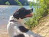 Mercedes - ADOPTED 09.26.15