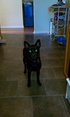 Suzie-BDS-ADOPTED 11.29.12