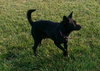 Suzie-BDS-ADOPTED 11.29.12